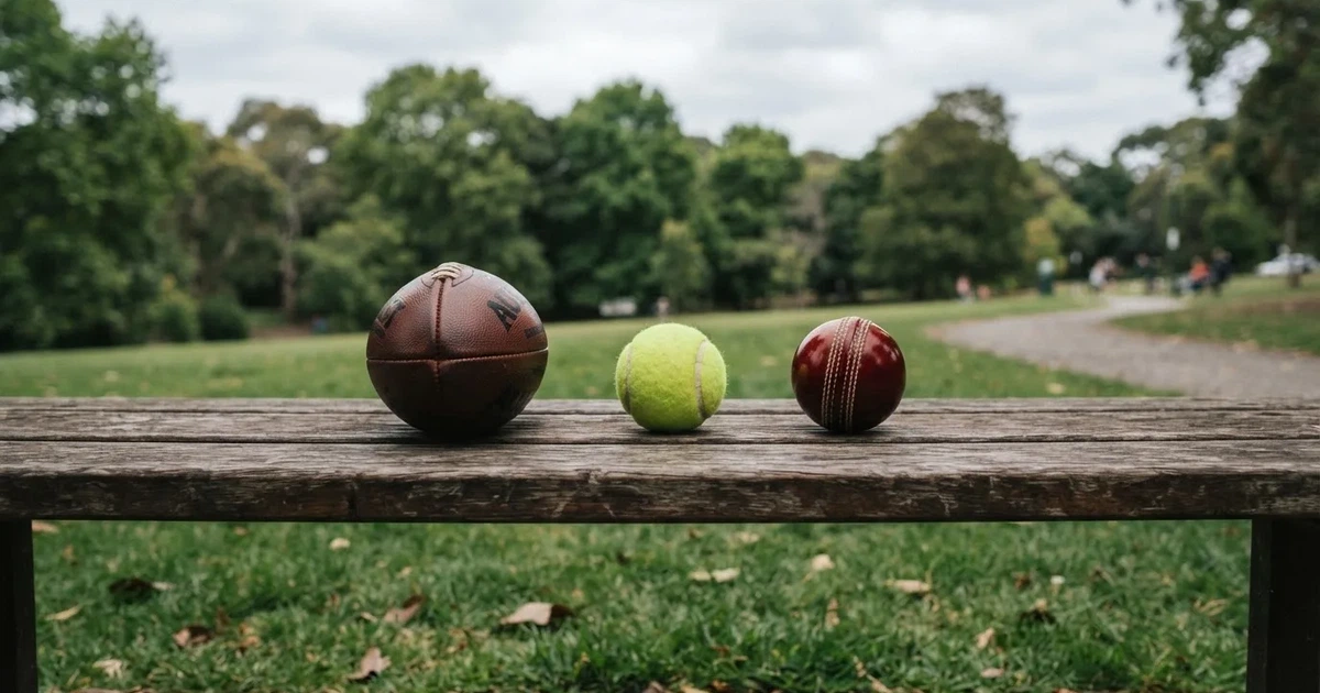 Three balls of different kinds side by side on a wooden bench